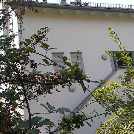 Petite Bellevue II Apartment Baden-Baden Bagian luar foto